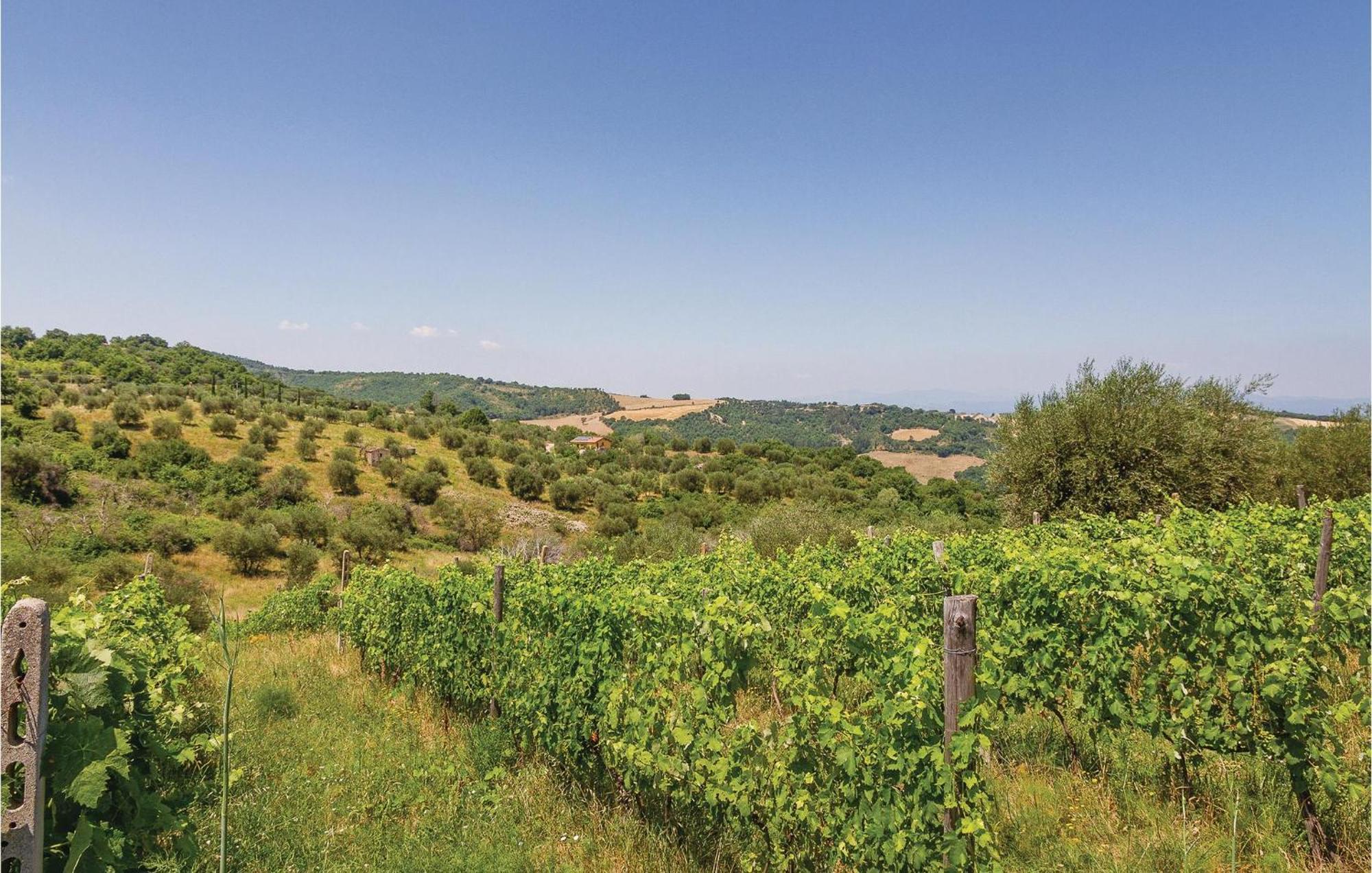 La Querciola Villa Seggiano Bagian luar foto